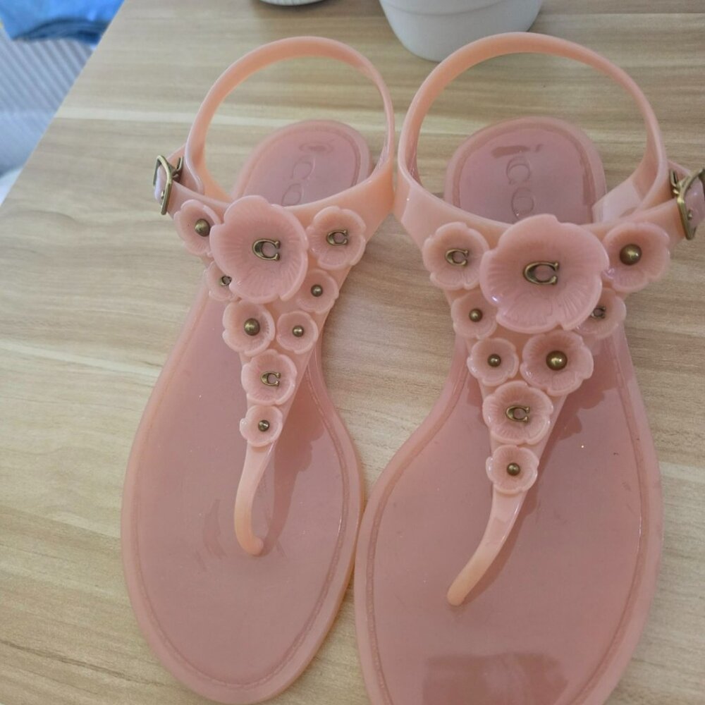 One of a Kind T- Strap COACH TEA ROSE JELLY SANDALS - Size 6
